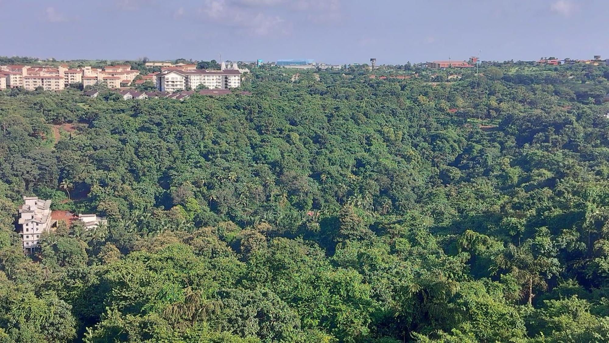 Good Stay 2Bhk Pool Apartment 10 Mins From Dabolim Airport Goa 102 Consua Eksteriør billede